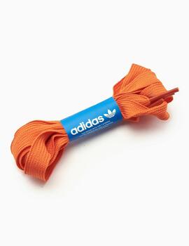 Zapatillas Adidas Forum 84 Low CL