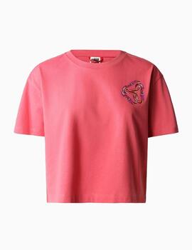 Camiseta The North Face Graphic