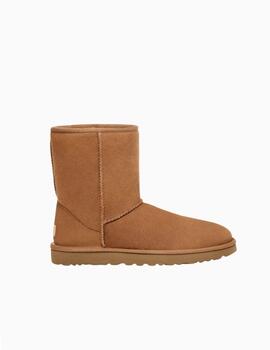 Botas UGG Classic II Short