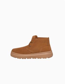 Botas UGG Deportivas Burleigh Chukka