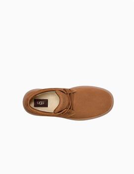 Botas UGG Deportivas Burleigh Chukka