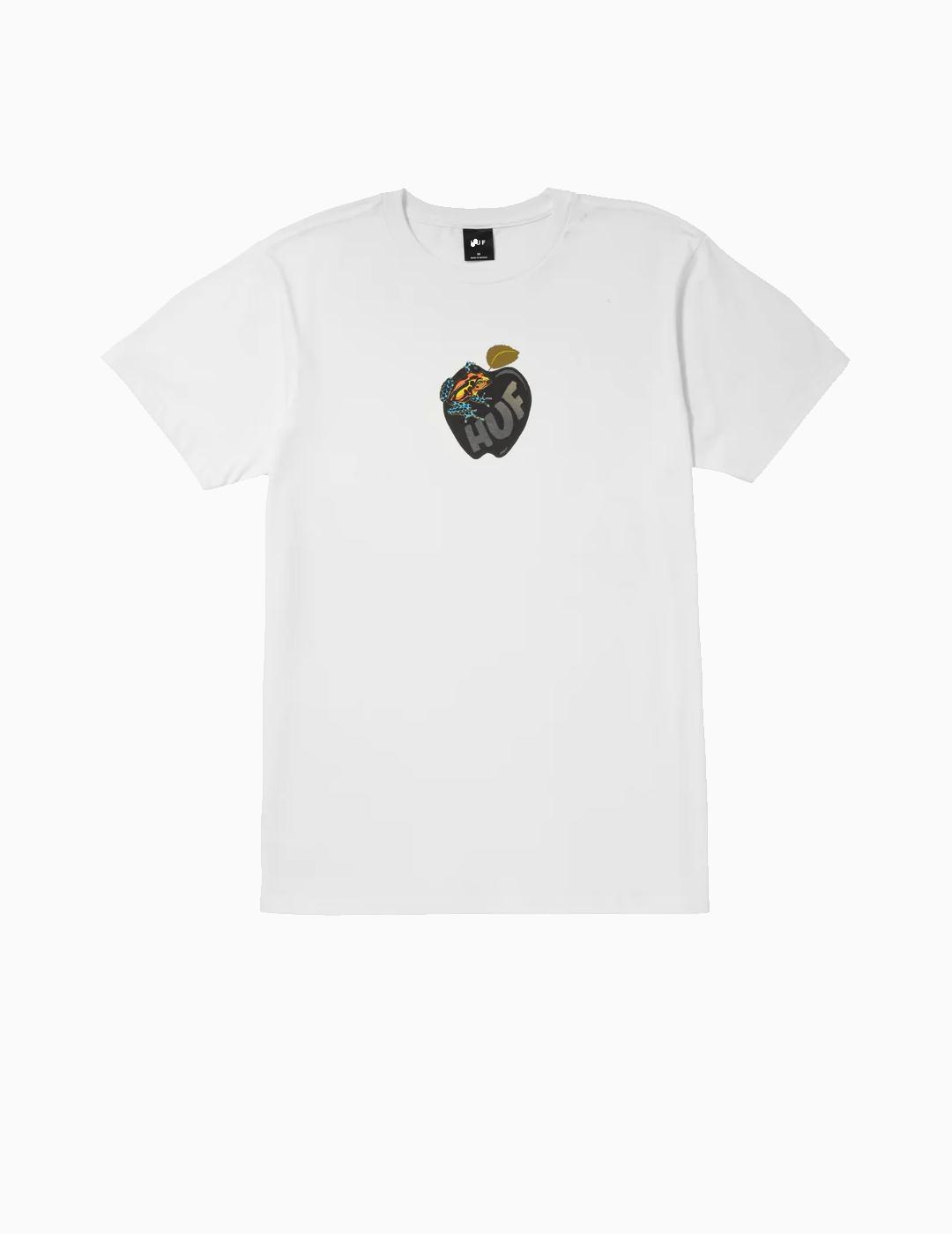 A02721 5krptegy